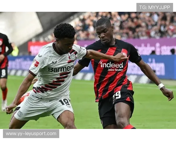 UFC经典瞬间揭秘：抱摔后砸地连击，瞬间终结对手的震撼瞬间